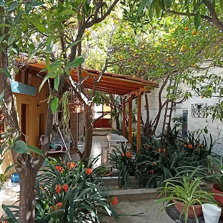 Town Traditional Lemon House Apartment *