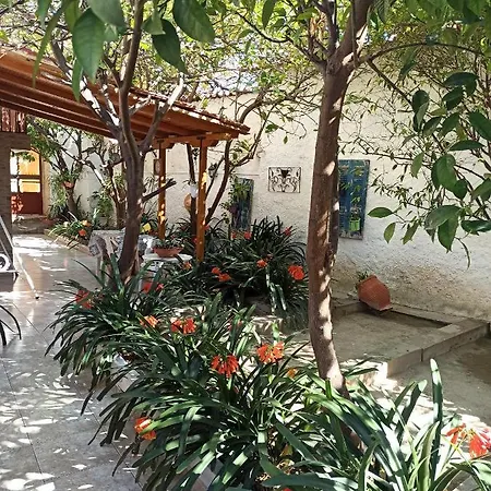 Town Traditional Lemon House Aegina